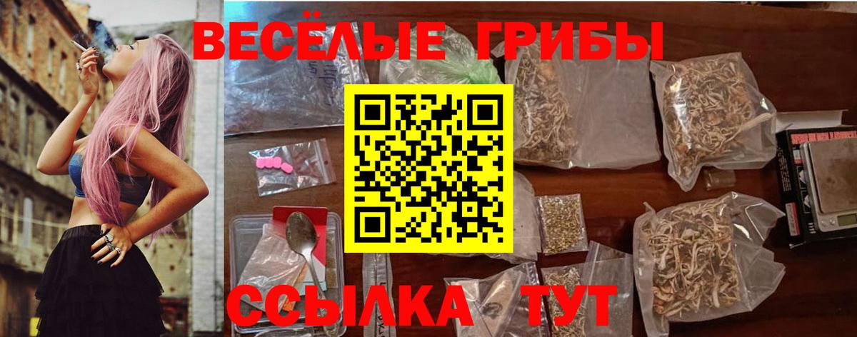 Галлюциногенные грибы прущие грибы  Вход с VPN  Борисоглебск 
